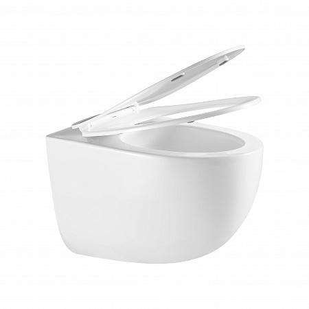 Подвесной унитаз безободковый Terminus Енисей Monolit 560х390 белый Симферополь - фото 7 Подвесной унитаз безободковый Terminus Енисей Monolit 560х390 белый Симферополь - фото 7