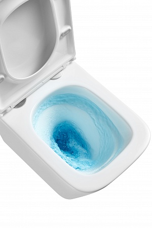 Подвесной унитаз безободковый Terminus Ватикан Monolit 490х340 белый Симферополь - фото 8 Подвесной унитаз безободковый Terminus Ватикан Monolit 490х340 белый Симферополь - фото 8