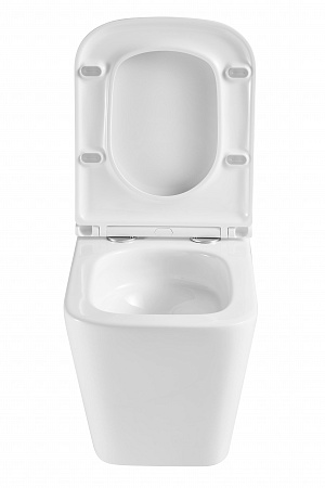 Подвесной унитаз безободковый Terminus Ватикан Monolit 490х340 белый Симферополь - фото 7 Подвесной унитаз безободковый Terminus Ватикан Monolit 490х340 белый Симферополь - фото 7