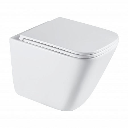 Подвесной унитаз безободковый Terminus Ватикан Monolit 490х340 белый Симферополь - фото 2 Подвесной унитаз безободковый Terminus Ватикан Monolit 490х340 белый Симферополь - фото 2