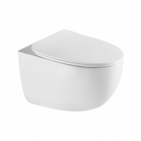 Подвесной унитаз безободковый Terminus Енисей Monolit 560х390 белый Симферополь - фото 2 Подвесной унитаз безободковый Terminus Енисей Monolit 560х390 белый Симферополь - фото 2