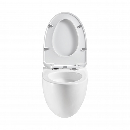 Подвесной унитаз безободковый Terminus Енисей Monolit 560х390 белый Симферополь - фото 5 Подвесной унитаз безободковый Terminus Енисей Monolit 560х390 белый Симферополь - фото 5