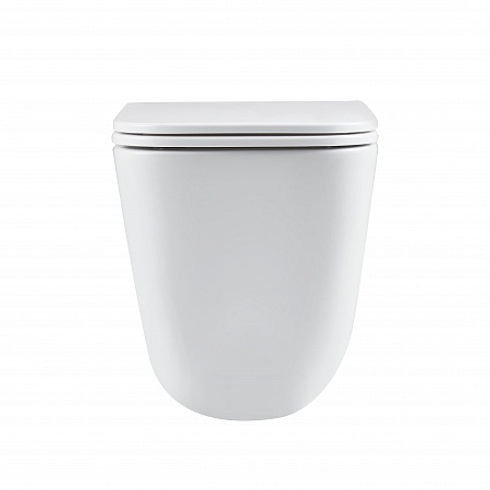 Подвесной унитаз безободковый Terminus Ватикан Monolit 490х340 белый Симферополь - фото 6 Подвесной унитаз безободковый Terminus Ватикан Monolit 490х340 белый Симферополь - фото 6