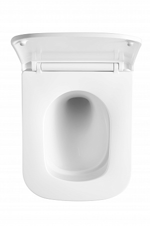 Подвесной унитаз безободковый Terminus Ватикан Monolit 490х340 белый Симферополь - фото 3 Подвесной унитаз безободковый Terminus Ватикан Monolit 490х340 белый Симферополь - фото 3